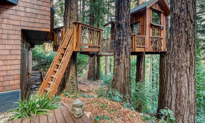 Woodacre Other | A treehouse in the sky. A home in the redwoods.