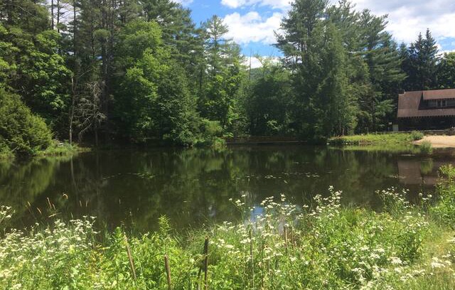 Lake Luzerne Cabin | The Adirondack Lodge at Painted Pony Ranch