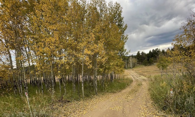 Nederland Cabin | Slice of Wild Heaven: Magical, Cozy, Forest Cabin @ the Top of the World. Views