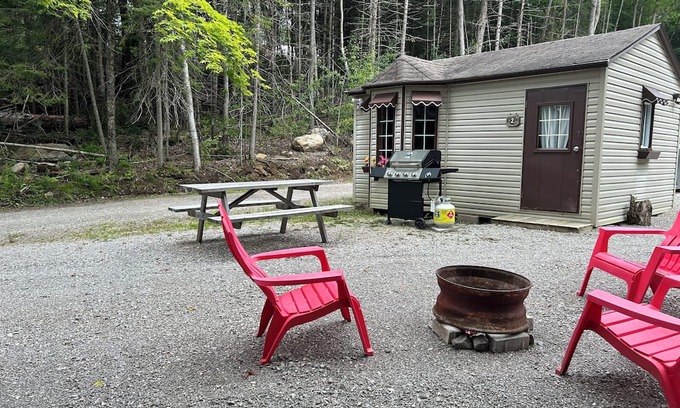Gooderham Cabin | Cabin #2 feet away Gooderham Lake