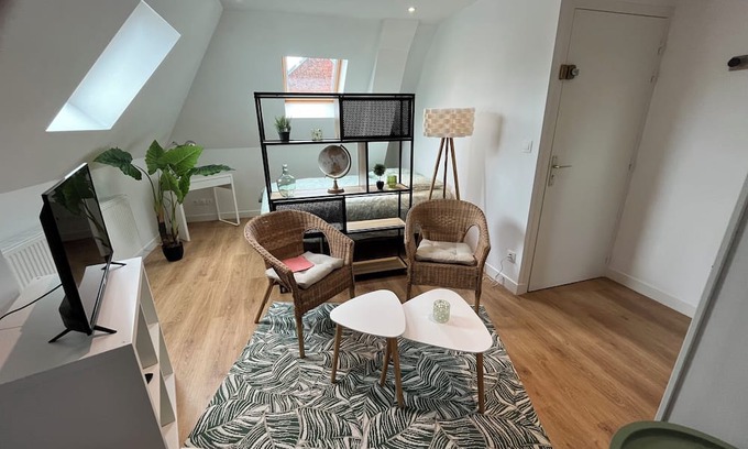Saint-Quentin Apartment | Le Jungle,studio Agréable Dans Copropriété Calme, Entièrement Meublé et Aménagé