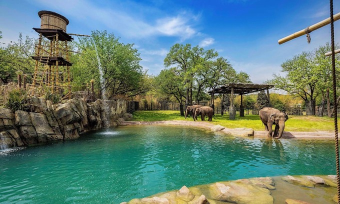 Tarrant County House | Cozy Long-term Stay - 4BR, King/Queen Beds, Ft Worth