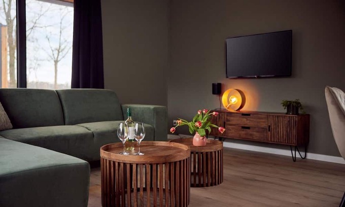Lattrop House | The Amalia 4 Eco is a luxurious holiday home with a private sauna, a spacious living room, open kitchen, two bedrooms and a spacious patio.