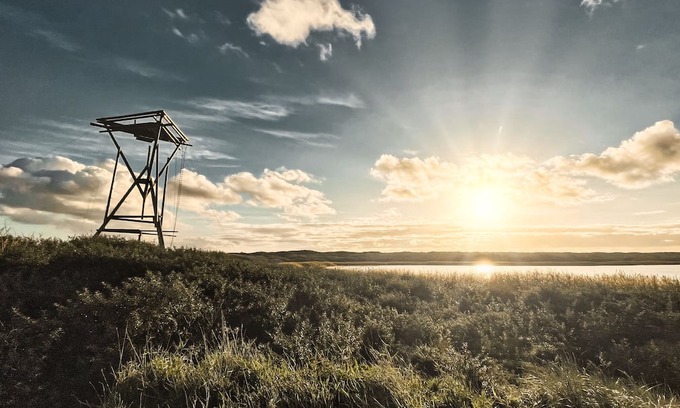 IJmuiden Resort | Basecamp Tiny House Eco Resort