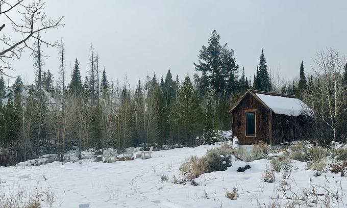Walden Cabin | The Fox Den @ 22 West
