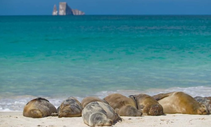 Puerto Baquerizo Moreno Apartment | Suite Cielo, Discover the magic of Galapagos