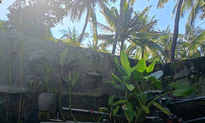 Bukti Bed & Breakfast | Mermaid Suite With AC 1 B&B - Bali Jungle Retreat with Fine Dining & Eco Pool