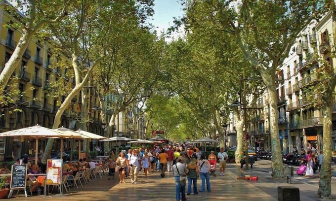 L'Antiga Esquerra de l'Eixample Apartment | Authentic 19th-Century Charm in the Heart of Barcelona