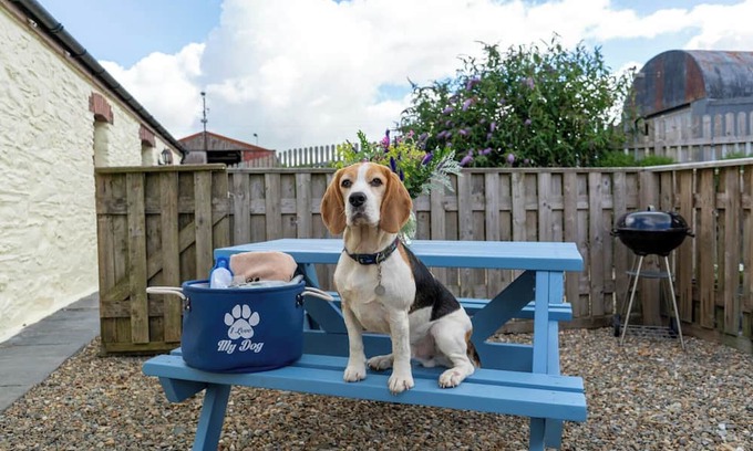 Crymych House | Super dog friendly barn conversion - sleeps 6 plus unlimited dogs