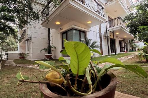 Bengaluru Apartment | Service Apartment - 3BHK Flat with Garden for Family Only