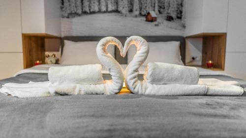 Kopaonik Apartment | A 27 Ariš GARSONJERA