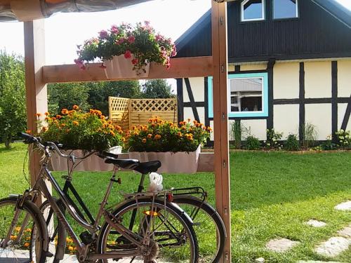 Ustka Resort | Domki w Wytownie k. Ustki