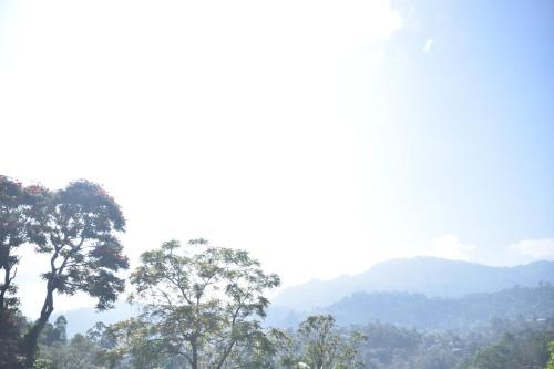 Bandarawela Apartment | Mountain View